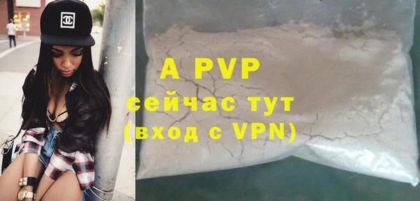 ПСИЛОЦИБИНОВЫЕ ГРИБЫ Гусь-Хрустальный