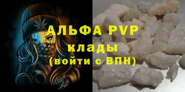 стафф Гусев