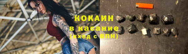 прущие грибы Гусиноозёрск