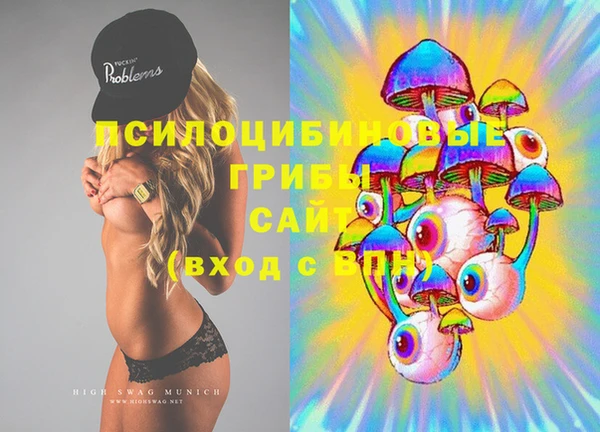 ПСИЛОЦИБИНОВЫЕ ГРИБЫ Гусь-Хрустальный