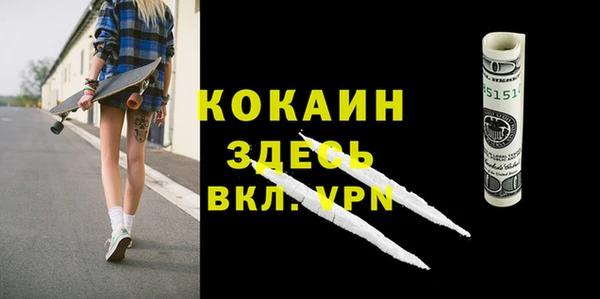 ПСИЛОЦИБИНОВЫЕ ГРИБЫ Гусь-Хрустальный