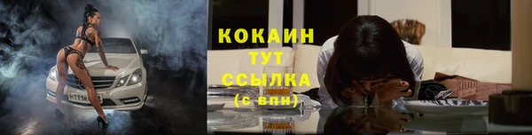 стафф Гусев