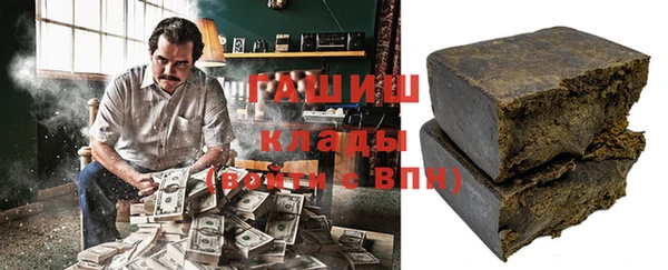 стафф Гусев